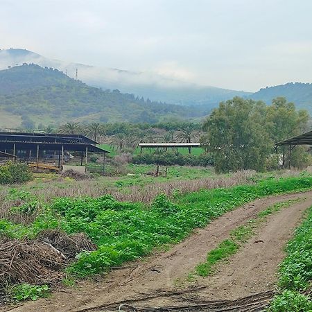 Family Cabin Menaẖemya エクステリア 写真